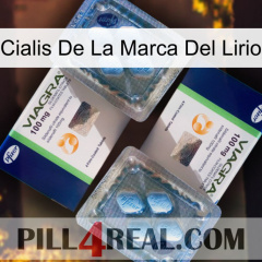 Lily Brand Cialis viagra5